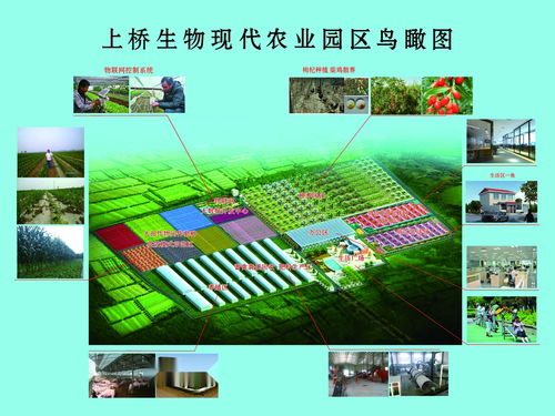 河北上桥生物科技