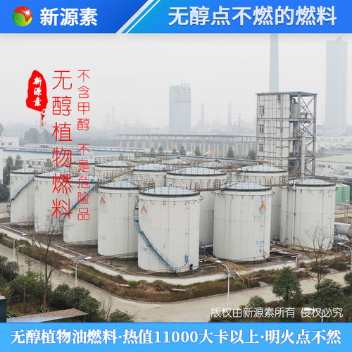 热门项目创业生物柴油蒸包炉