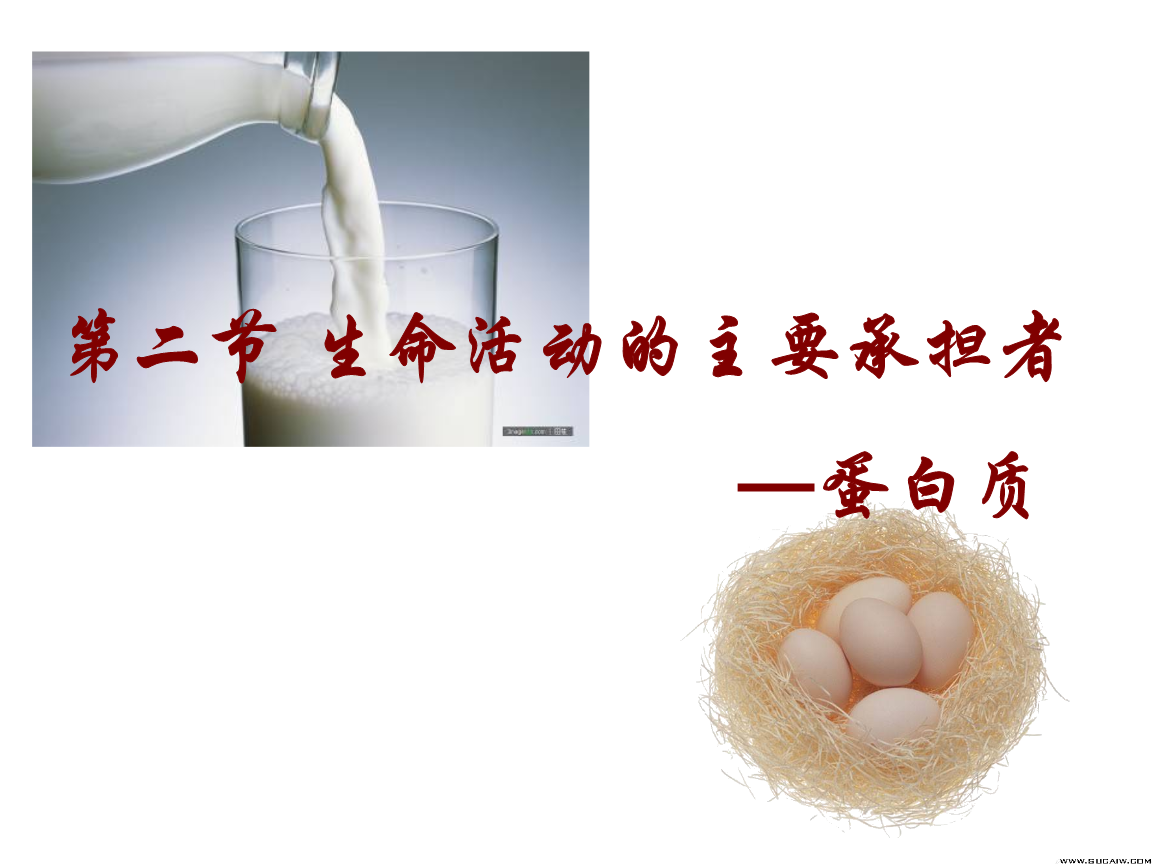 河北省石家庄第十五中学高二生物 生命活动的承担者-蛋白质 课件.ppt