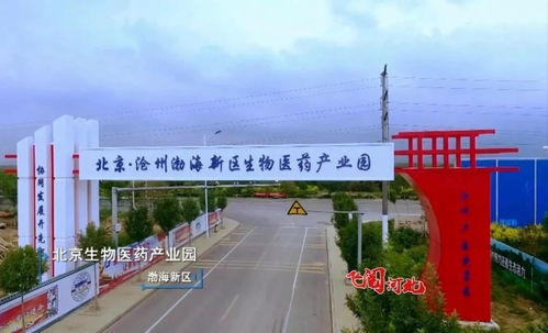 重磅视频 飞跃河北 沧州篇 黄骅竟然这么美