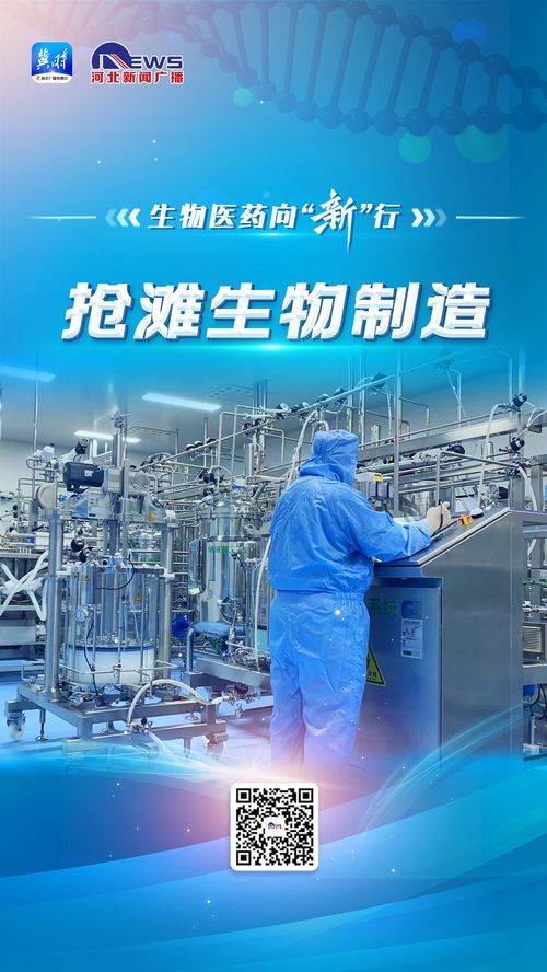 衡水新闻网