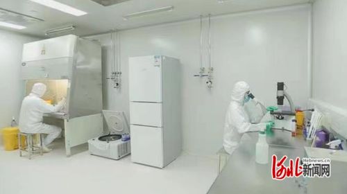 石家庄市国际生物医药园靠前服务助力企业项目建设提速增效