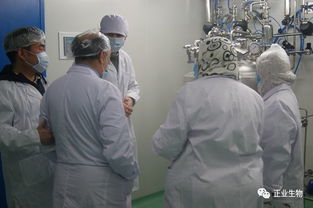 埃及农业部疫苗采购gmp验厂检查团 到吉林正业生物制品股份开展验厂核准工作
