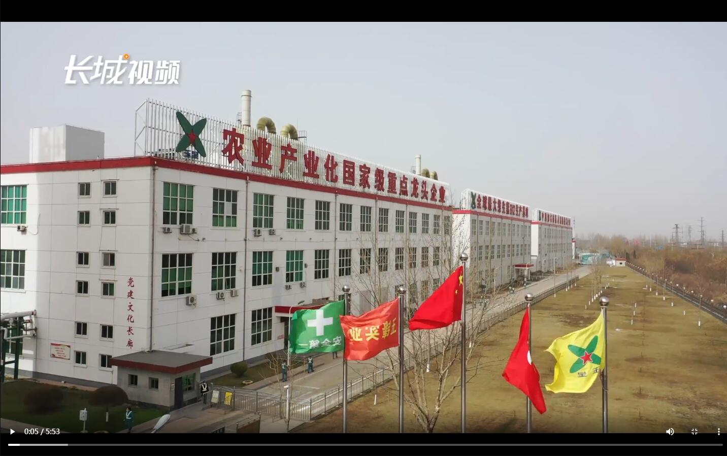 位于宁晋县的河北玉锋大健康生物产业园内,玉锋实业集团副总.