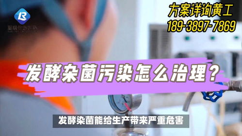 河北生物发酵企业车间杂菌污染解决方案 新型发酵常温灭菌技术