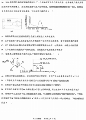 2020届河北省衡水中学高三生物上学期期中试卷(图片版)(5)