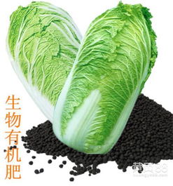 【河北源海有机肥在线咨询,吴忠生物有机肥,生物有机肥用法】_