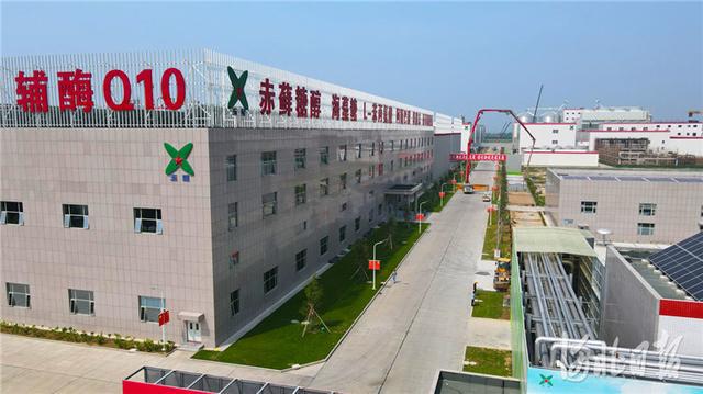 河北宁晋生物大健康产业园助力高质量发展