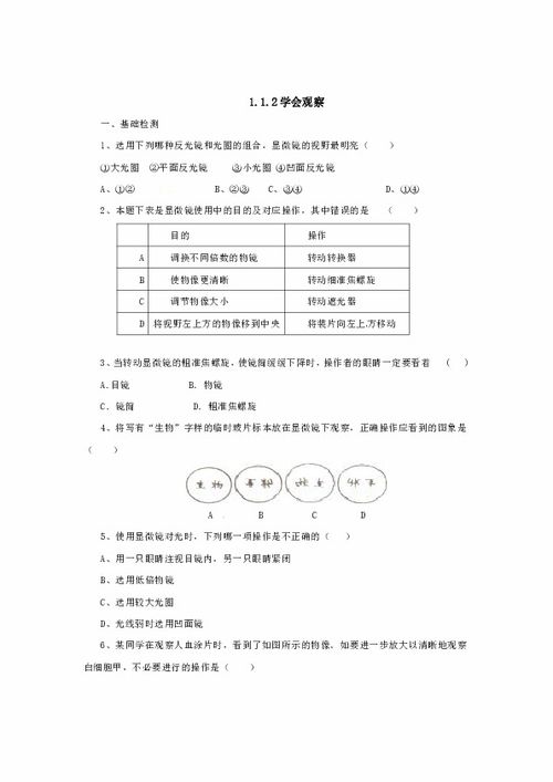 生物 河北少儿版 七年级上册 第一单元1.2学会观察 同步练习