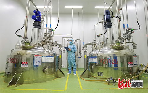 夯实法治之基 增添协同底色 京津冀协同发展中的人大力量