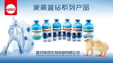 《2022年河北省主要动物疫病免疫计划》《2022年河北省主要动物疫病监测和流行病学调查计划》