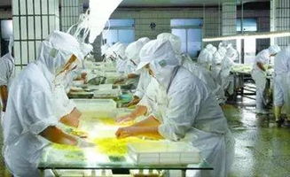 揭秘一线食品企业的清洁与消毒