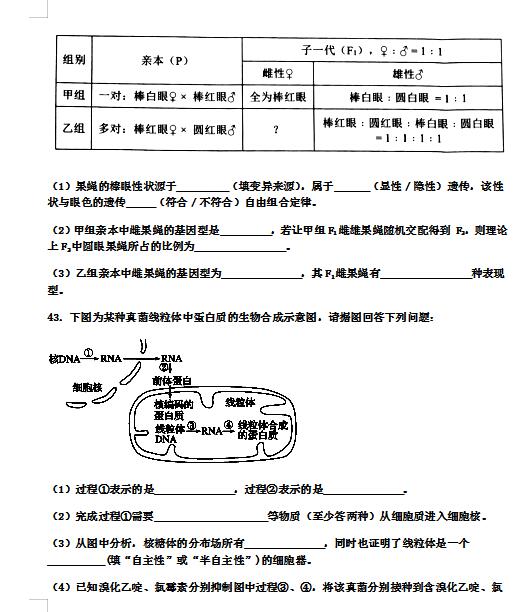 2020届河北枣强中学高三上生物一轮复习周测试题一 图片版 15